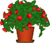 DesktopPlant Screenshot